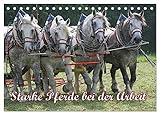 Starke Pferde bei der Arbeit (Tischkalender 2026 DIN A5 quer), CALVENDO Monatskalender: Kaltblut und Co. in Land- und Forstwirtschaft (CALVENDO Tiere)