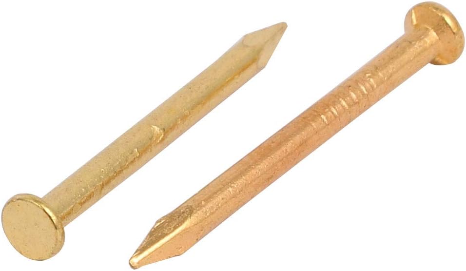 2mmx25mm Carbon Fastener Steel Point Tip Cement Nail Gold Tone 20pcs Model:36as83qo691
