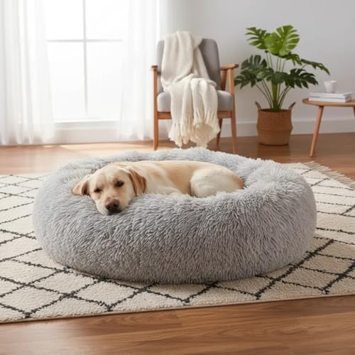 CAMA PET NUVEM PELUCIA REDONDA M 50X50X12 CAMINHA PELUCIADA CASA ...