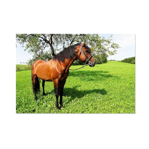 Toile cheval dans un pré 70x105cm sans cadre pour décoration murale
