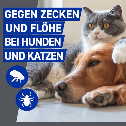 FRONTLINE Spray Hund & Katze gegen Zecken, Flöhe & Haarlinge 100 ml