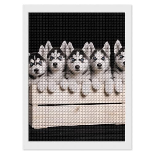 Peinture diamant 5D husky pour adultes : votre activité détente et décoration maison