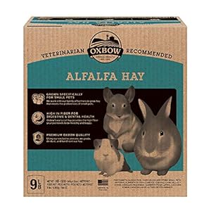 Oxbow Animal Health Alfalfa Hay – All Natural Hay for Young, Pregnant, or Nursing Small Pets – 9 lb.