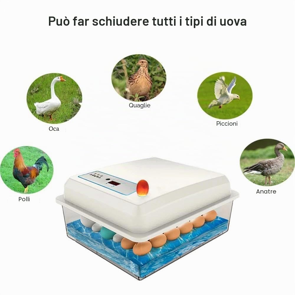Incubatrice automatica per 20 uova, completamente automatica, con funzione di riempimento dell'acqua, schermo di visualizzazione, rotazione automatica, pollaio incubatrice per polli, quaglie (20 uova)