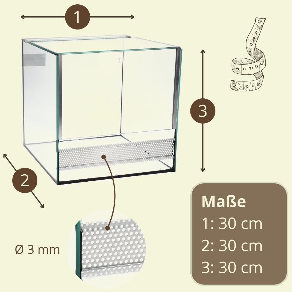 Terrarium 30x30x30 cm Schnecken Spinnen Amphibien Glas Terrarium Mit Belüftung Pflanzen Reptilienbecken Mit Falltür Glasterrarium 30 Klein