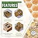 Foxhound Bee Company Comb Honey Cassette Packaging, Deep Frame Packaging - 40 Pack