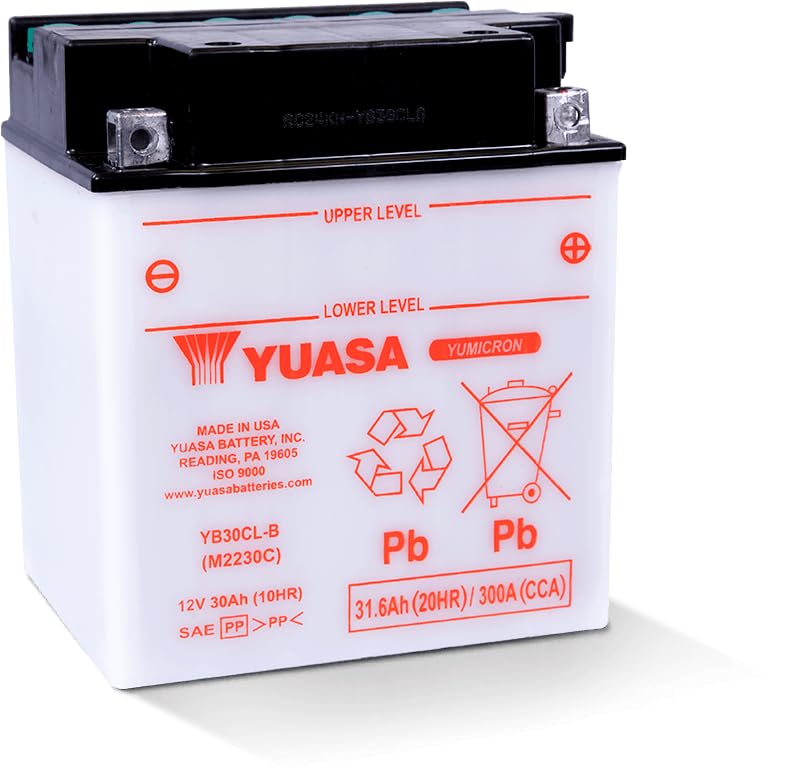 Yuasa Battery YuMicron YB30CL-B