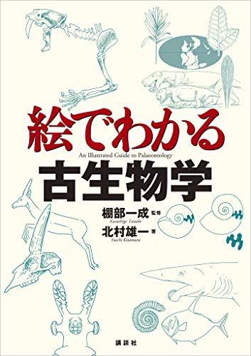 絵でわかる古生物学 ｋｓ絵でわかるシリーズ 北村雄一 棚部一成 地球科学 エコロジー Kindleストア Amazon