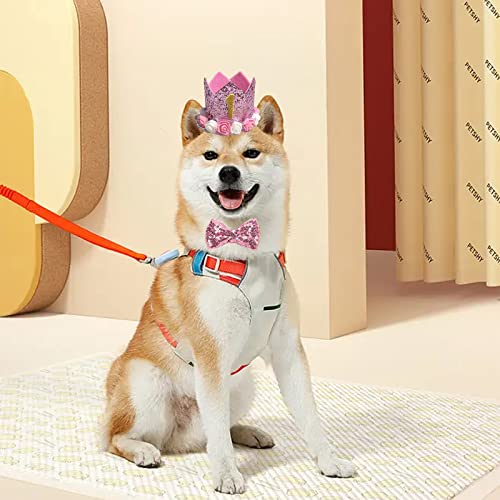 Geburtstagshut für Hunde, Katze, Hund, Geburtstagskrone, Hut und Fliege mit 0–9 Figuren, Charms, Partyzubehör für kleine, mittelgroße Welpen, Kätzchen, Blau (rosa)