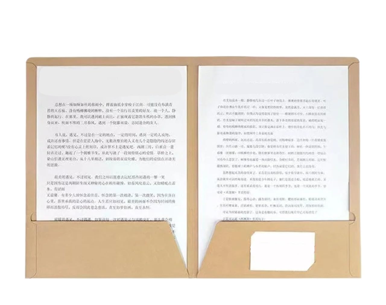 Paquete de 10 carpetas archivos papel Kraft, carpeta presentación tamaño A4 para Partituras, Archivos(2 pockets-brown)