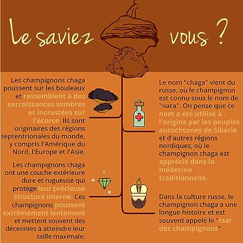 Chaga BIO Vegavero riche en bêta-glucanes pour renforcer les défenses de l'organisme - 6