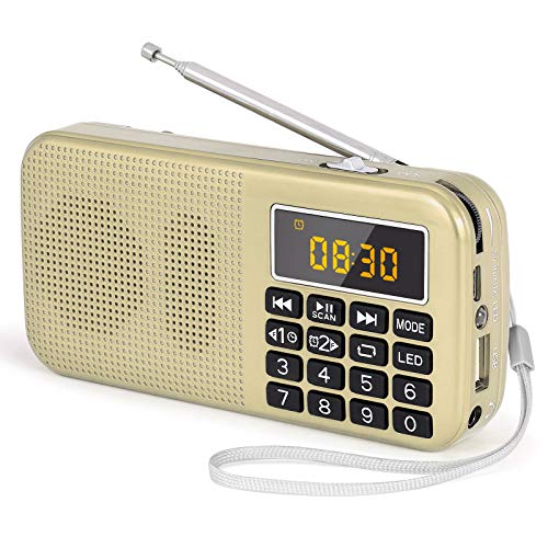 J-725C Radio FM portátil pequeña, Radio de batería Recargable Digital con Reloj Despertador, Linterna LED, Tiempo de reproducción ultralargo, Reproductor de MP3 AUX Micro-SD Pendrive, de PRUNUS(Oro)