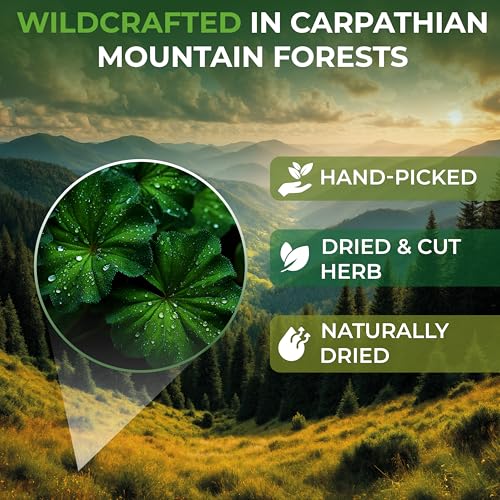 Image of 2 oz. Lady's Mantle Herbal Tea (Alchemilla vulgaris) - 56g Dried Lady's Mantle Herb Tea Alchemilla