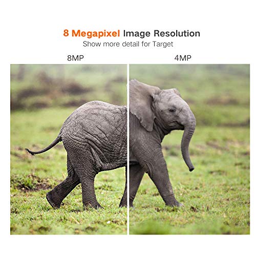 Gw Security 8 Channel Smart Ai Poe Nvr Ultra-Hd 4K (3840X2160) Security Camera System With 6 X 4K (8Mp) 2160P Face Recognition / Human / Vehicle Detection Waterproof Microphone Ip Dome Camera #TOP5