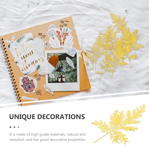 48 hojas secas naturales de Artemisia para manualidades miniatura 7