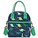 Bolsa Almuerzo Infantil, VASCHY Bolsa Termica Porta Alimentos para Niños Bolsa Merienda Infantil Bolsa Termica Comida 8.2 Litros para la Escuela con Asa y Correa Desmontable, Dinosaurio