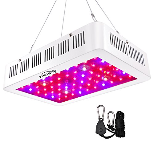 KINGBO LED Grow Light 600W Double Chips Full Spectrum LED Plant Grow Light with Rope Hanger Daisy Chain for Indoor Greenhouse Hydroponic Plants Growing