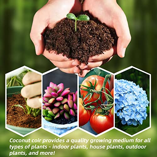 13.8 Gallons Coco Coir Brick For Plants- 6 Pack Premium 100% Organic Peat Moss Mix With Low Ec & Ph Balance, Fiber Coconut Husk For Planting, Gardening, Potting Soil Substrate(8.4 Pounds) #TOP3