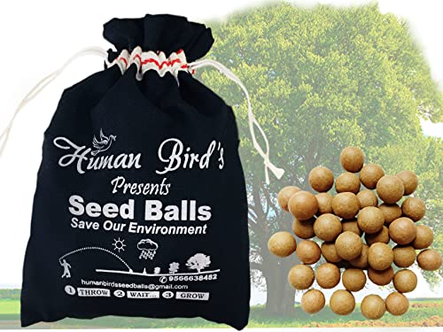 Image of Human Birds International - Seed Balls, Just Throw & Grow, Tree Seed Bombs, Seed Balls Return Gift, Seed Balls of Trees (Fig Seed Balls, 50)