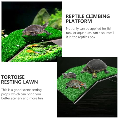 Plate-Forme de Tortue Terrestre Durable Multifonctionnelle pour Reptile