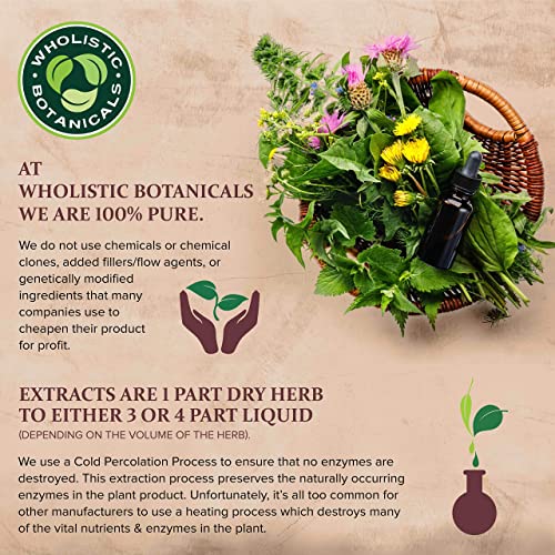 Aceite Esencial de Eucalipto Blue Mallee 15 ml miniatura 3