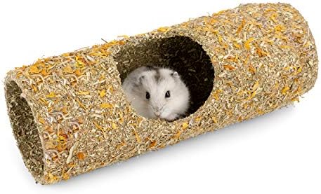 Photo inspiration: Picture Idea: Niteangel Creative Composable Hamster Tunnel