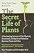 Produktbild The Secret Life of Plants: A Fascinating Account of the Physical, Emotional, and Spiritual Relations Between Plants and Man (Tomkins)