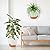 GARDIFE Hanging Planter, 10 inch Hanging planters for Indoor. Outdoor Plants, Self Watering Plant Pot, 2 Pack Large self Watering Hanging Planter