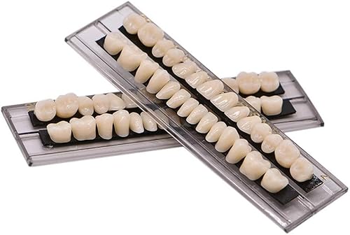 Fake Tooth Denture Realistic Fake Tooth Set 56 Pcs (2 Sets of 28) A2 Shade Dental Synthetic Acrylic Resin Denture Costume Accessory Halloween Prop by Fengea