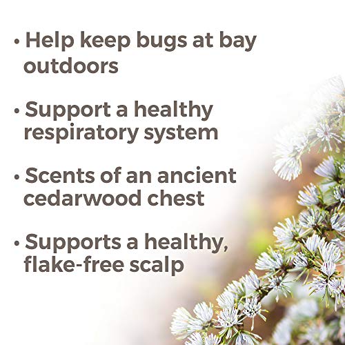 Plant Therapy Cedarwood Atlas Essential Oil 100% Pure, Undiluted, Natural Aromatherapy, Therapeutic Grade 10 Ml (1/3 Oz) #TOP1