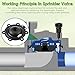 Gulfmew Diaphragm Repair Kit Compatible with DRKCP/CPF, Valve Diaphragm Replacement Compatible with Rain Bird CP, CPF, DV, DAS, ASVF, with included Filter, Solenoid Filter, Screw, Spring(4 Pack)