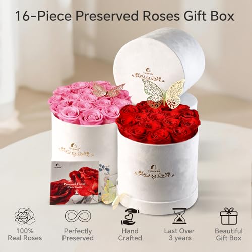 16 Preserved Roses in a Box, Preserved Flowers Gifts for Women, Forever Flowers for Delivery, Flower Birthday Gifts Box for Her, Mothers Day Rose Gifts for Mom, Sweet Pink - Image 6