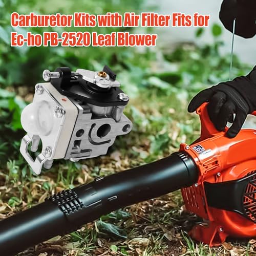 SWTHM A021004700 Carburetor Kit Fit for Echo PB-2520 Leaf Blower, Carburetor with Air Filter & Gaskets Kit Fit for Ec-ho PB-2520 Leaf Blower Replaces A021004700 A021000723 A021000722