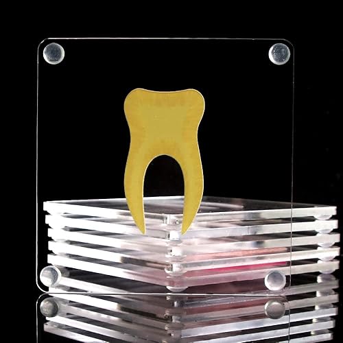 Miniatura 5 de Timethink Juego de 6 posavasos de anatomía de dientes 3D de 4 pulgadas, modelo de dientes, cuadrados de acrílico, juego de posavasos de mesa dental,
