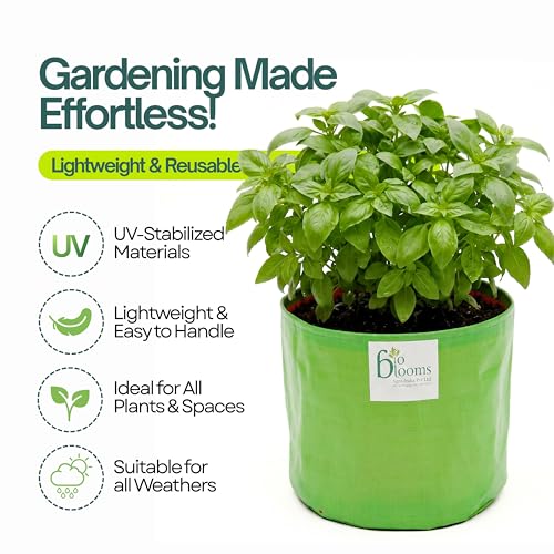 Image of Bio Blooms Round HDPE Plant Grow Bag for Terrace & Kitchen Gardening | Pack of 1 | 18x18 | 200 GSM Heavy Duty Outdoor Grow Bag | Durable Planter for Vegetables, Flowers & Plants | Green & Orange
