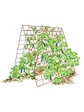 Deluxe Cucumber Trellis
