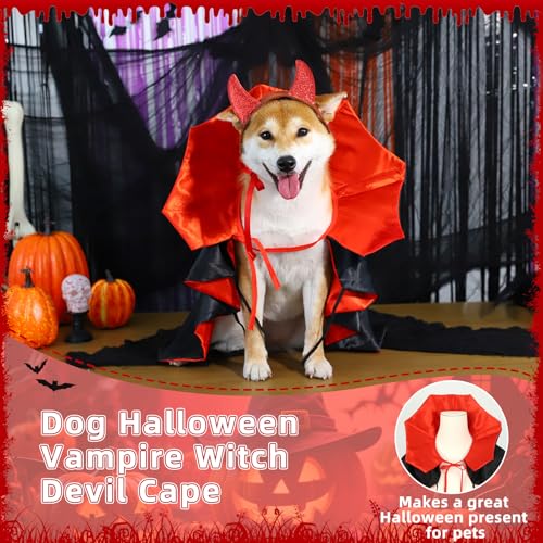 Disfraz Vampiro para Perro Halloween Talla Grande miniatura 4