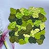 100 pcs Mulberry Paper Fern Leaves 35x30mm DIY Craft Scrapbooking Wedding DIY Craft Supplies Card Artificial Leaves (Fern Leaves Green Tone) #3