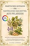 Praktischer Leitfaden Für Natürliche Heilmittel Aus Pflanzen: Ein Klares, Illustriertes Buch Für Einsteiger: Pflanzen Im Alltag, Einfache Hausmittel, Praktische Tipps Und Häufige Fehler Vermeiden.