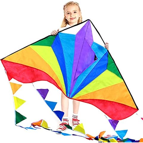 HONBO Large Delta Kite for Beginners Cover