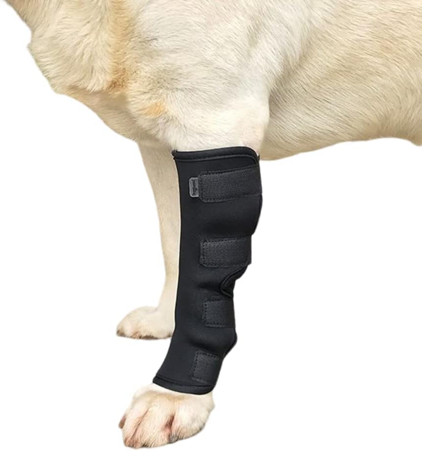 poveo 小型犬用整形外科ブレース サポーター 右足 Sサイズ Amazon | 犬 脚 ブレース 犬用 サポーター 前足後足 犬骨折治療 関節