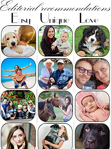 Msd Car Sun Shade Windshield Sunshade Universal Fit 2 Pack, Block Sun Glare, Uv And Heat, Protect Car Interior, Image Id: 9801260 Dolphin #TOP2