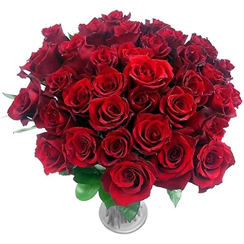 Clare Florist Obsession 36 Red Rose Fresh Flower Bouquet - Fresh Roses Perfect for Valentine's Day, Birthdays, and Anniversaries Cover