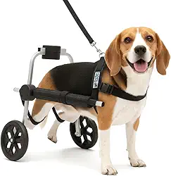 Cadeira de 2 Rodas Para Cachorro Tam M Regulável Pata Traseira Paraplegia Reabilitação Paralisia Idoso Pet Best Soluções