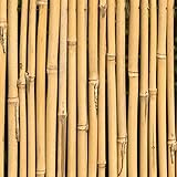 tutores bambu online ✔️ Calidad: Estacas fuertes y resistentes bambú. Este bambú de alta durabilidad durará varias temporadas en tu jardín. Las cañas se cultivan de forma sostenible, donde se cortan a mano. Estas cañas son respetuosos con el medio ambiente y no dañan ninguna planta o animal.