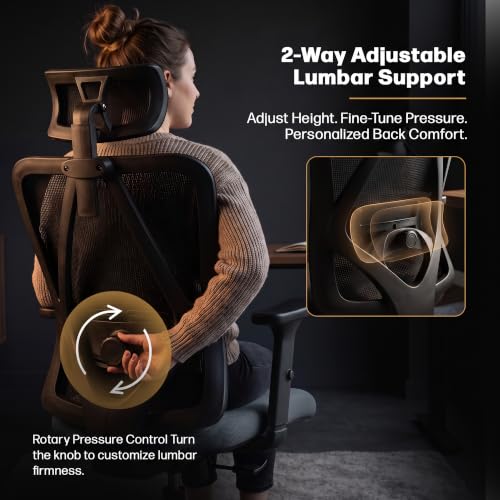 Image of DROGO Ergonaut Ergonomic Office Chair for Work from Home | Computer Chair with 2D Headrest, Armrests & Adjustable Lumbar Support | Breathable Mesh with 120 Recline, 1-Year Warranty(Black & D.Grey)