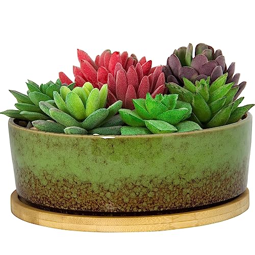 Best Japanese Bonsai Pot 7 Inch