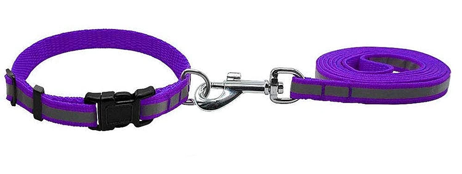 RvPaws Reflective Nylon Leash and Collar Set with Bell for Puppy, Cats and Small Dogs, Quick Release and Breathable Collar Set (10 MM) (Purple) (B09VZD8JS5) Amazon Price History, Amazon Price Tracker