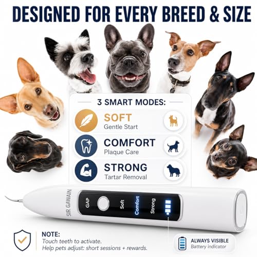 Image of SIRGAWAIN Pet Ultrasonic Dental Cleaner - Plaque, Tartar & Stains Remover, 4 Tips, 3 Modes, LED, Contact-Activated & Smart Touch Protection, Complete Cleaning Kit for Dogs & Cats