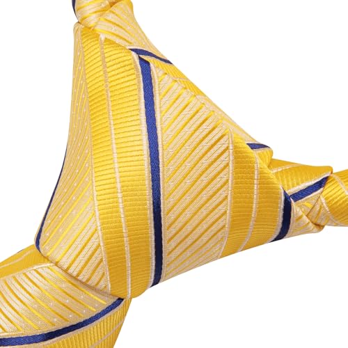 Image of Dubulle Silk Ties Set for Men Formal Paisley Striped Necktie Pocket Square Cufflinks 3PCS Sets Wedding Business Party